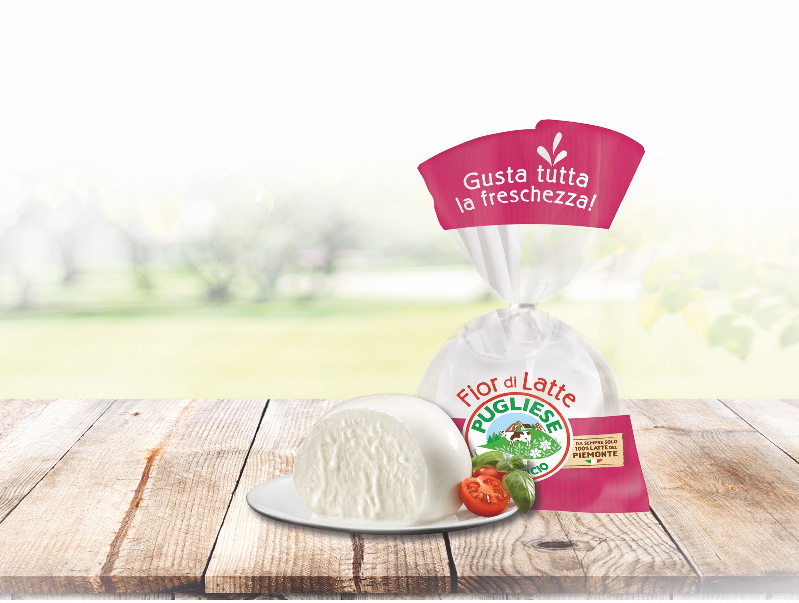mozzarella-senza-lattosio.jpg
